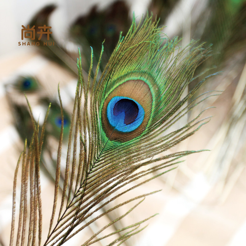 孔雀翎大额优惠券