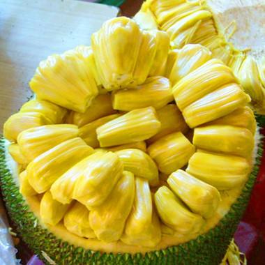 18-20斤菠萝蜜 海南三亚特产新鲜水果 海南菠萝蜜干苞黄肉 包邮