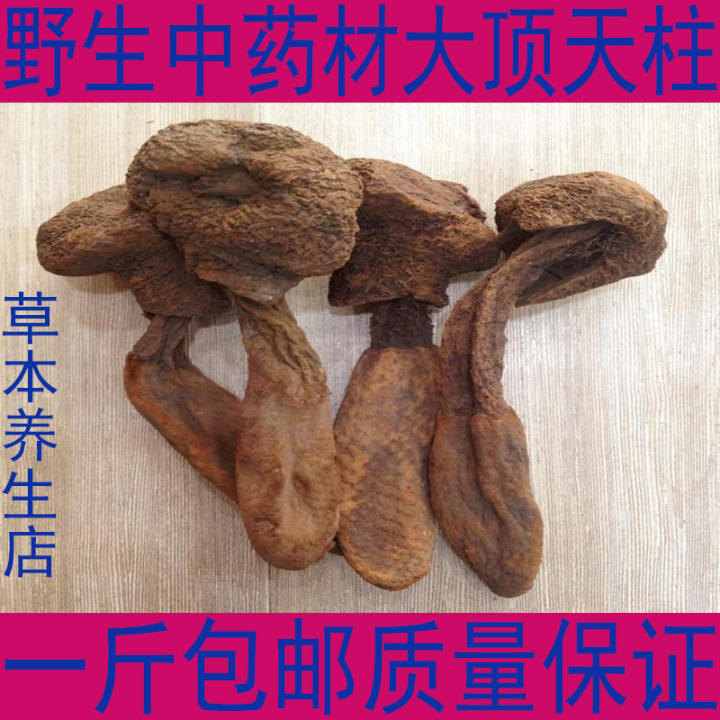 云南雪山野生 大不老草 草苁蓉 500克 回春草 顶天柱