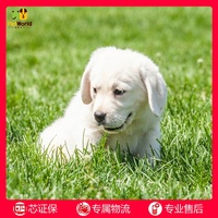 恋夜视频列表安卓国产uc 恋夜影视全部视频手机uc 恋夜影视全部视频手机uc