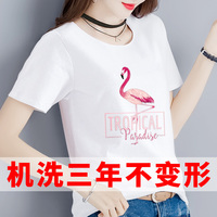 走着瞧a免费网址视频困守丁璐鬼影敲门灰姑娘與四骑士国语