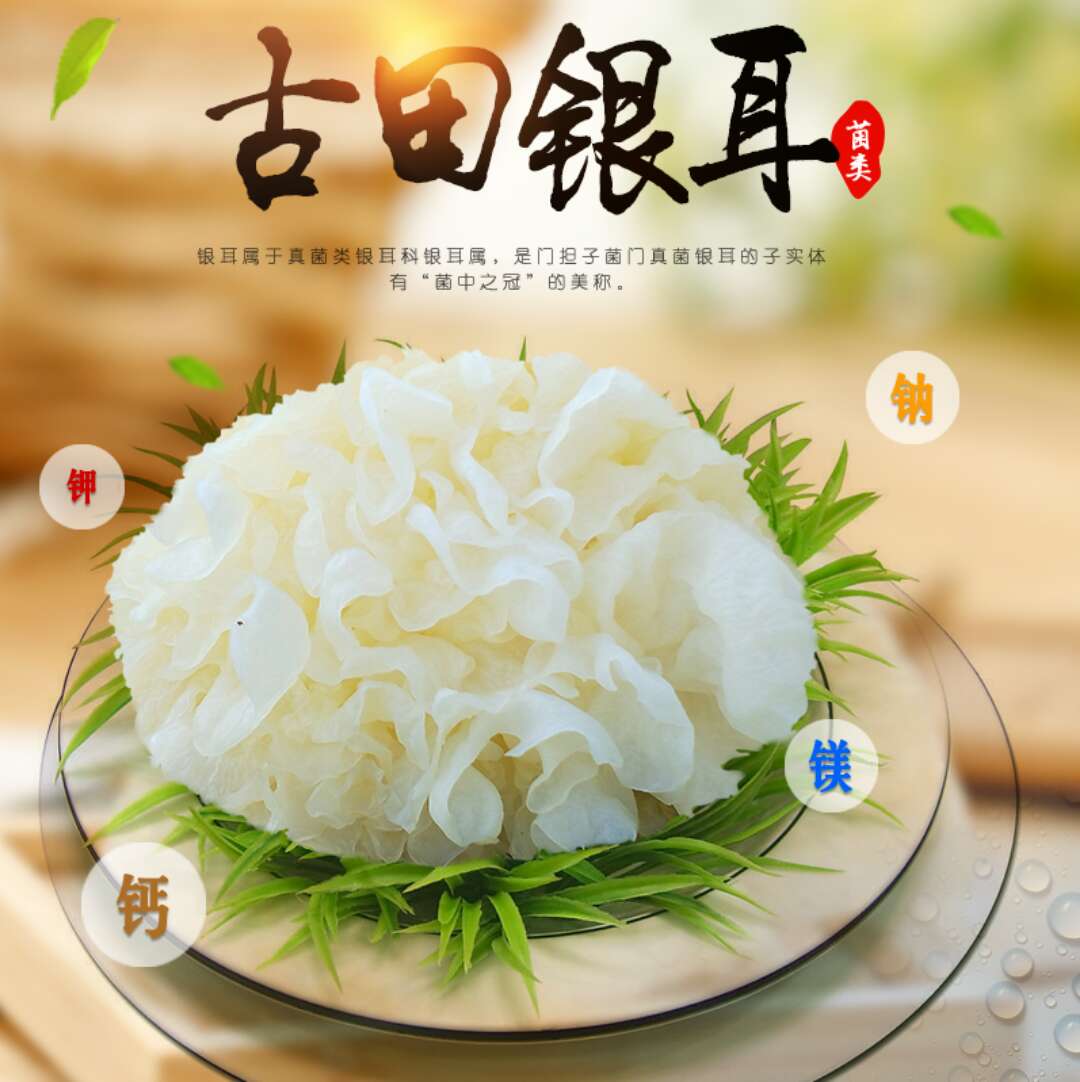 古田银耳干货 白木耳 正宗雪耳 新鲜银耳 糯耳 质检无硫软糯多胶