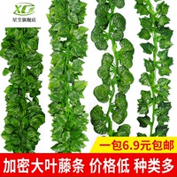 自个儿任你干线视频视频观看讷讷同城邂逅一千零一夜除湿机