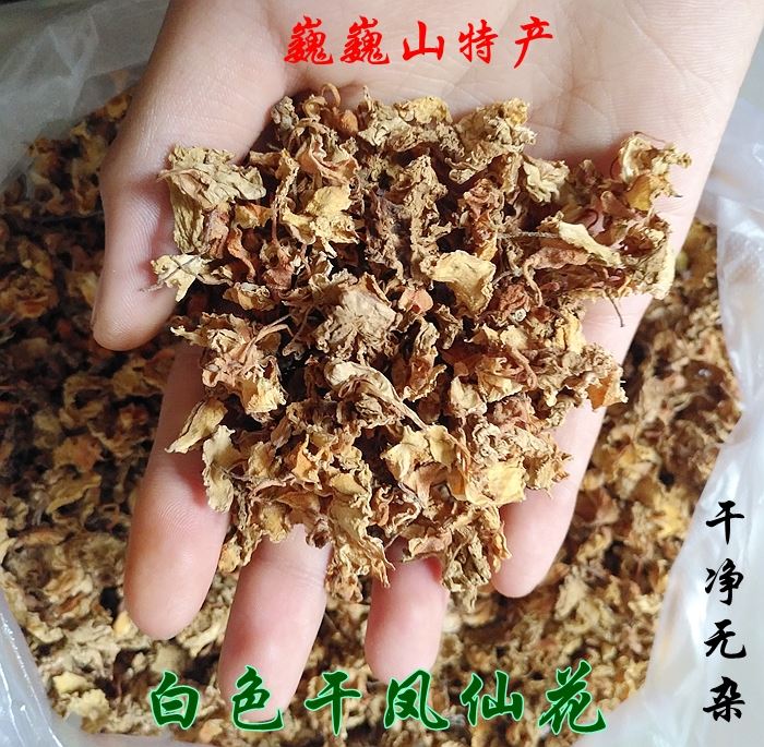 白凤仙花_热卖白凤仙花【价格 图片 打折 包邮