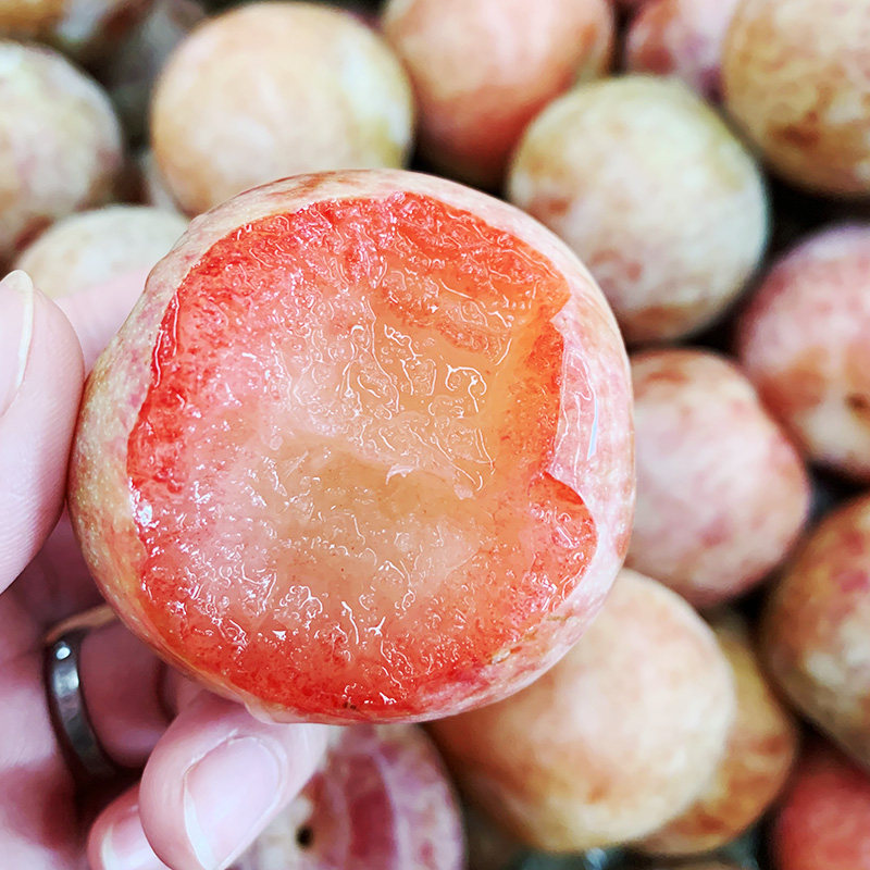 澳洲凤凰李2斤装新鲜进口孕妇李子黑布林血丝李恐龙蛋水果发顺丰