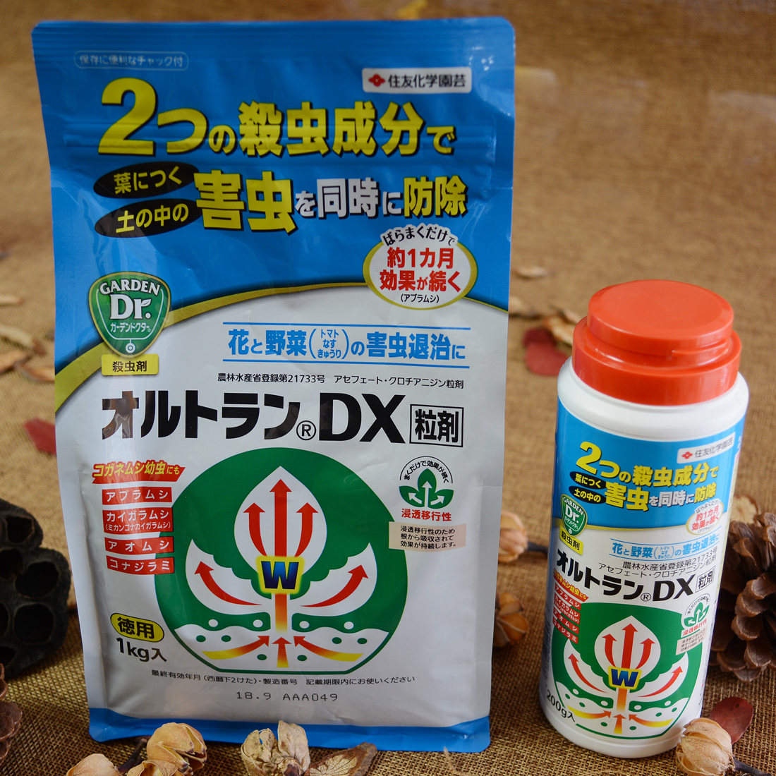 日本进口dx杀虫剂多肉用内吸式颗粒低毒蚧壳虫