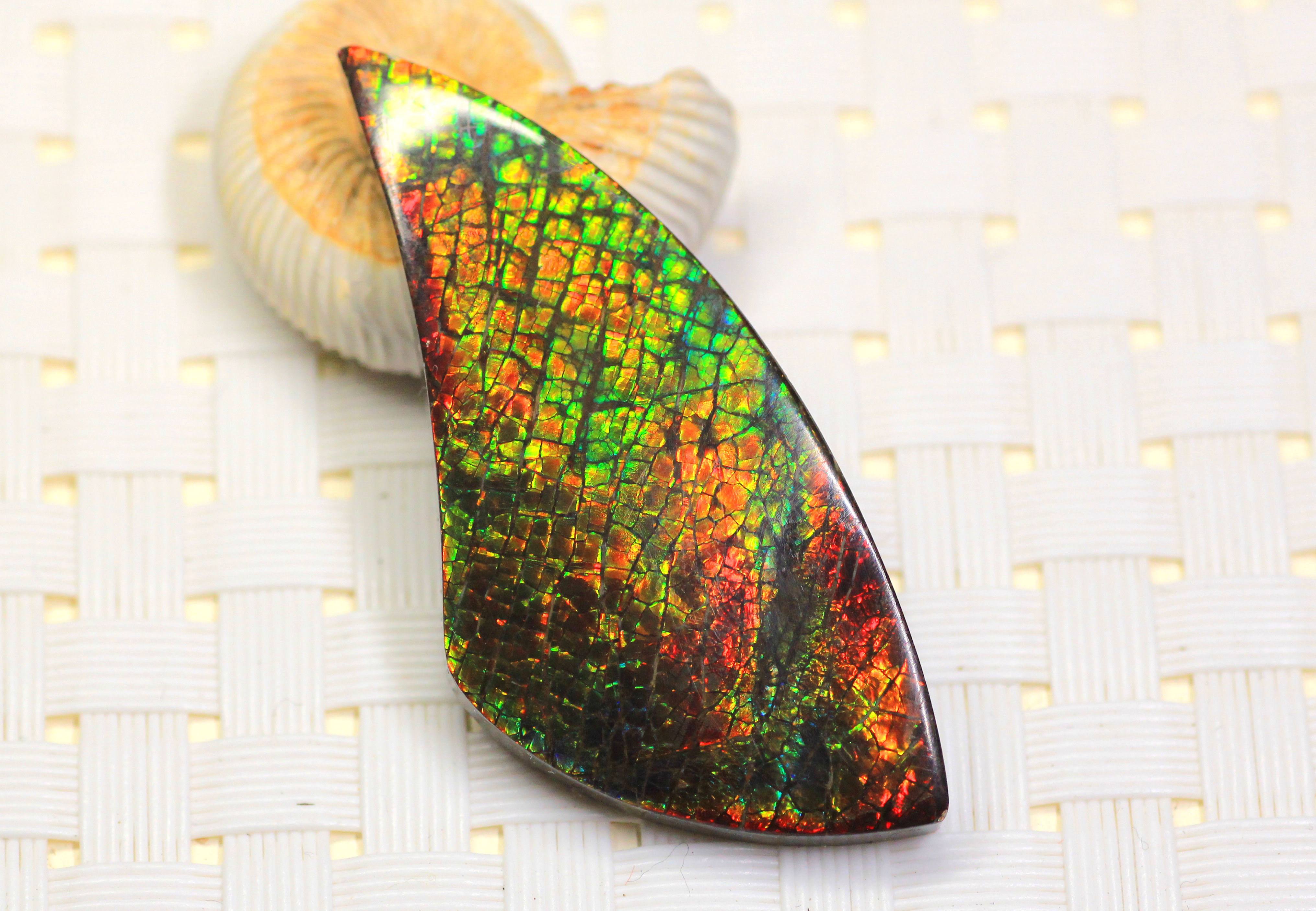 李居明斑彩石_加拿大斑彩石 斑彩螺 李居明斑彩石 招财转运 斑彩石裸