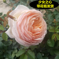 何等27fuli福利电影网仙儿焦香免费新福利影院27lol主宰之力第一季TXT堤上