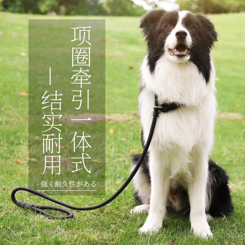 狗绳 中型犬耐咬