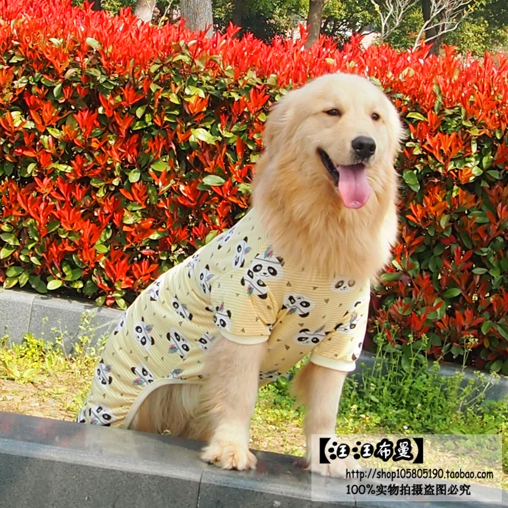 狗狗衣服薄款四脚 中型_狗狗衣服宠物大型犬大狗金毛萨摩耶春夏装中型