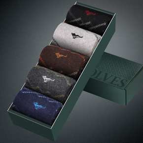 七匹狼男袜 06035