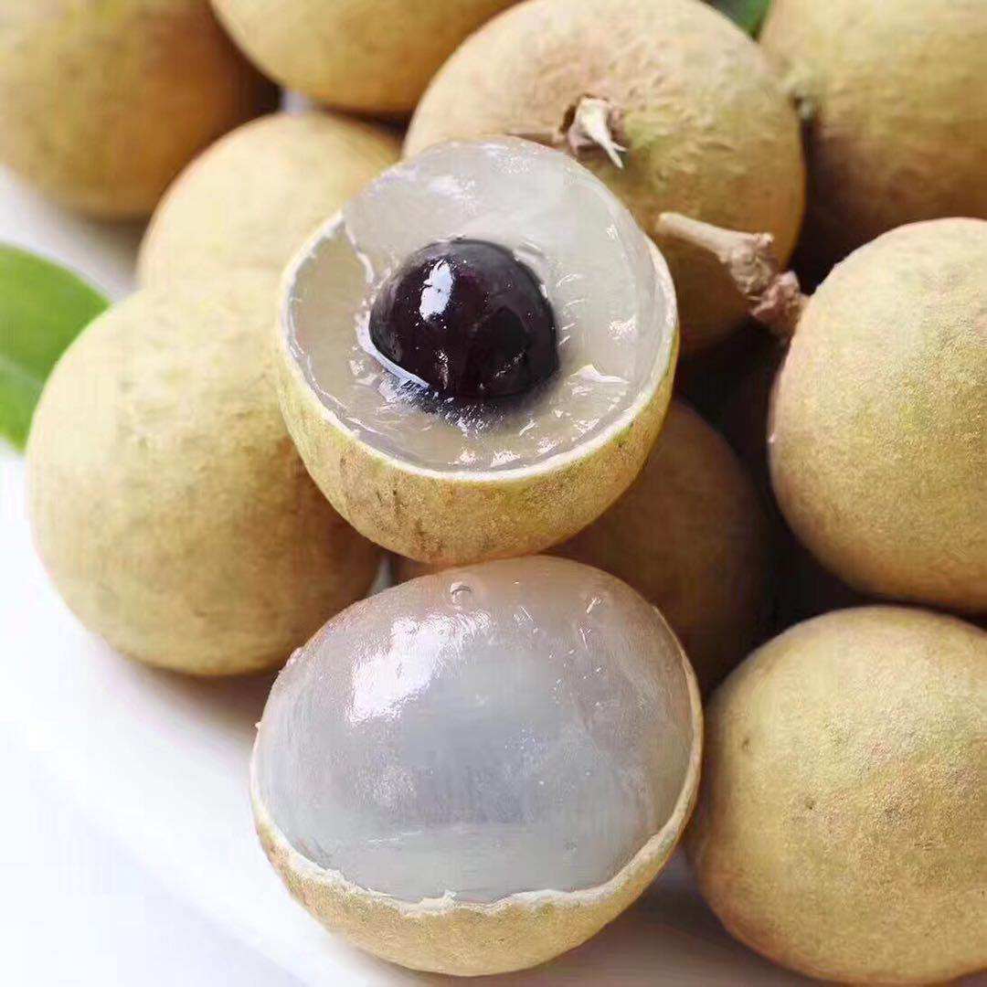 热销鲜龙眼_广东饶平现摘现发龙眼新鲜桂圆草埔新鲜水果非石夹储良5斤