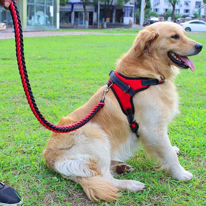 狗链子胸背带狗狗牵引绳大型犬牵狗绳子中型犬拉布拉多拴狗绳优惠券