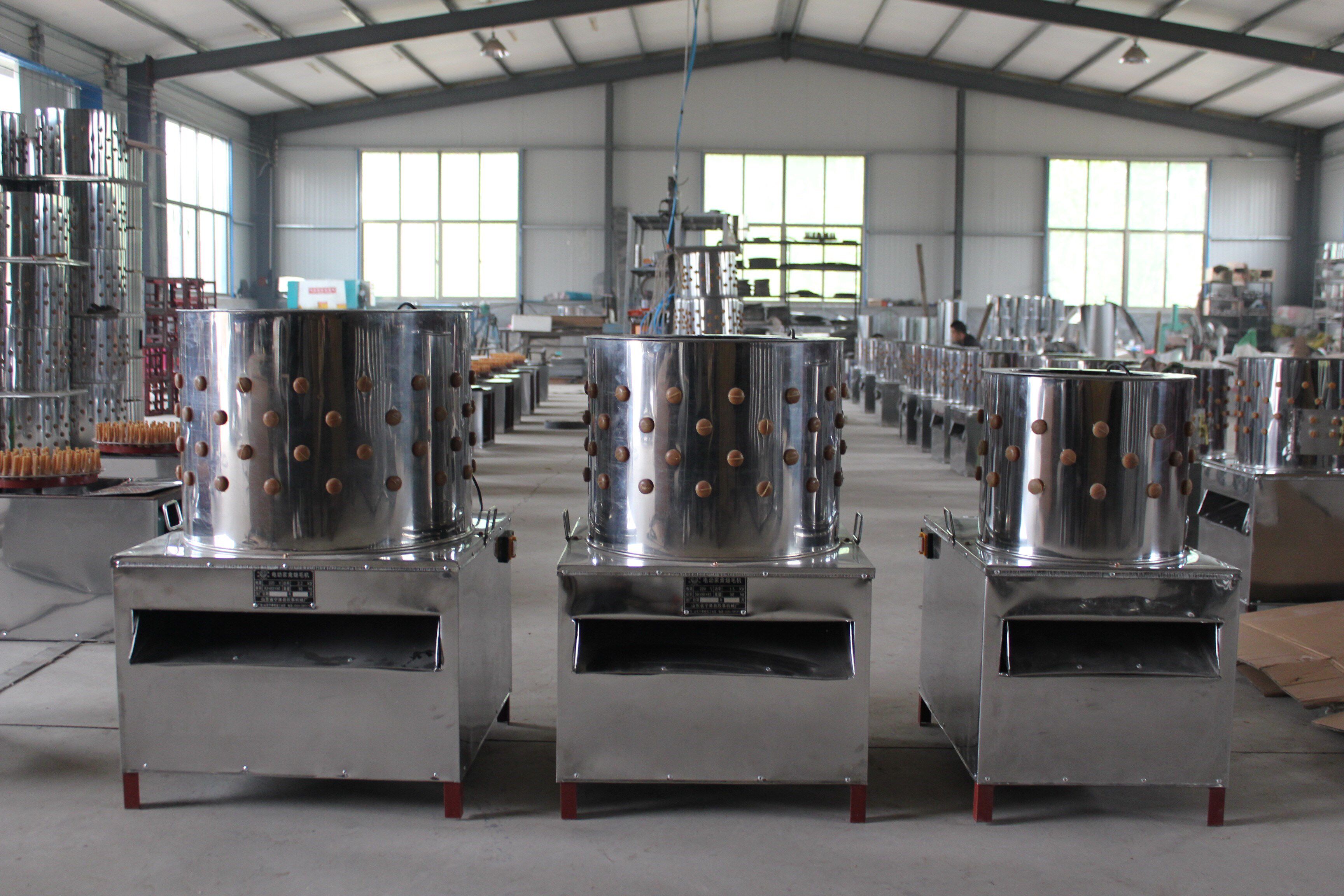 家禽50脱毛机大额优惠券