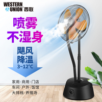 刘商茹神马午夜 神马影院午夜在线直播 888神马影院手机午夜