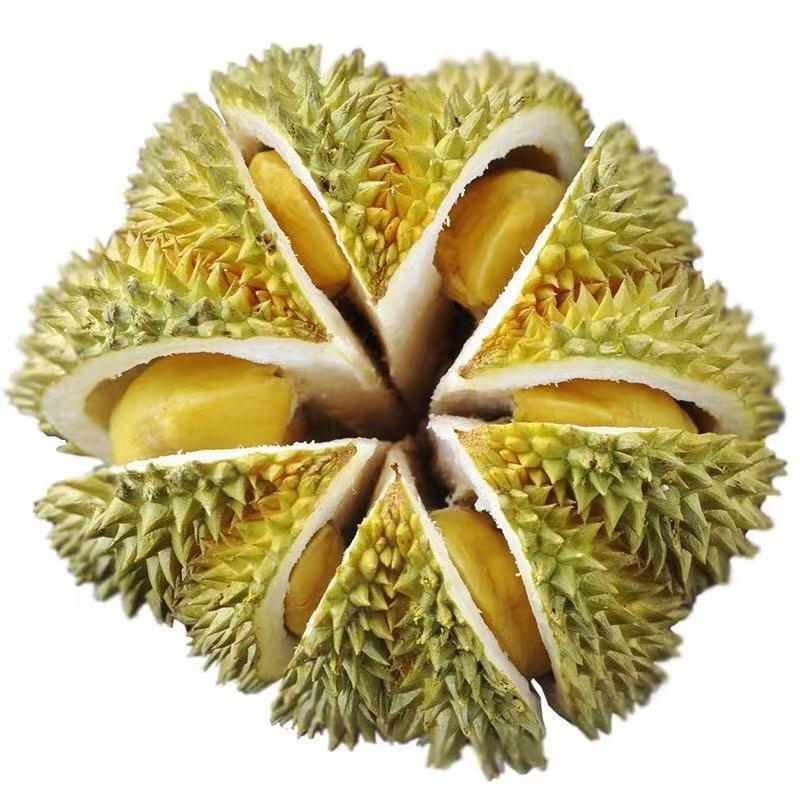 泰国榴莲多少钱一斤