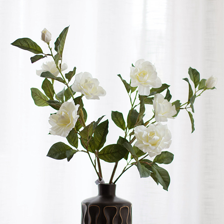    法式白色栀子花