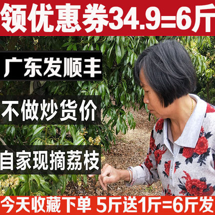 6斤现摘荔枝 桂味妃子笑荔枝 淮技 当季孕妇新鲜水果广东顺丰包邮