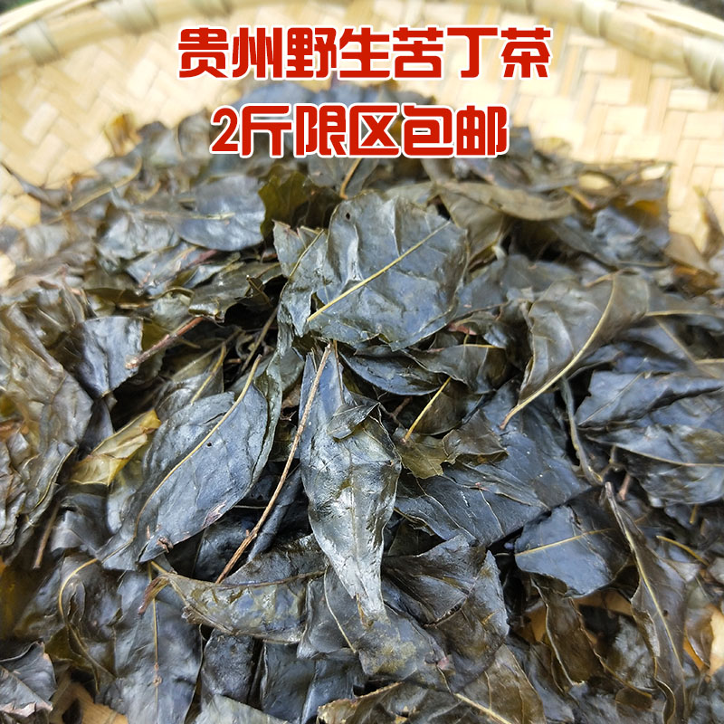 苦丁茶 贵州特产