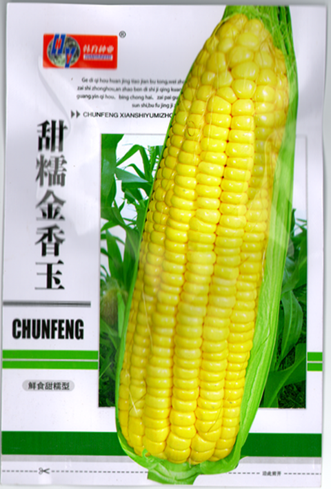 热销玉米粒零食玉米脆 罐装_甜糯金香玉米种子 包谷种籽香甜黄糯玉米