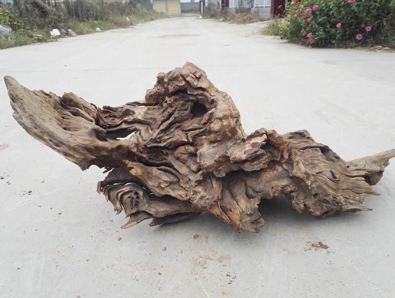 大型鱼缸沉木 水草缸造景木 流木 紫柚木 杜鹃根 珊瑚木 千层木