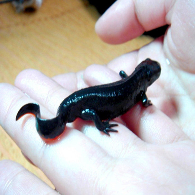 淘宝内部优惠券 就在我要扒一扒