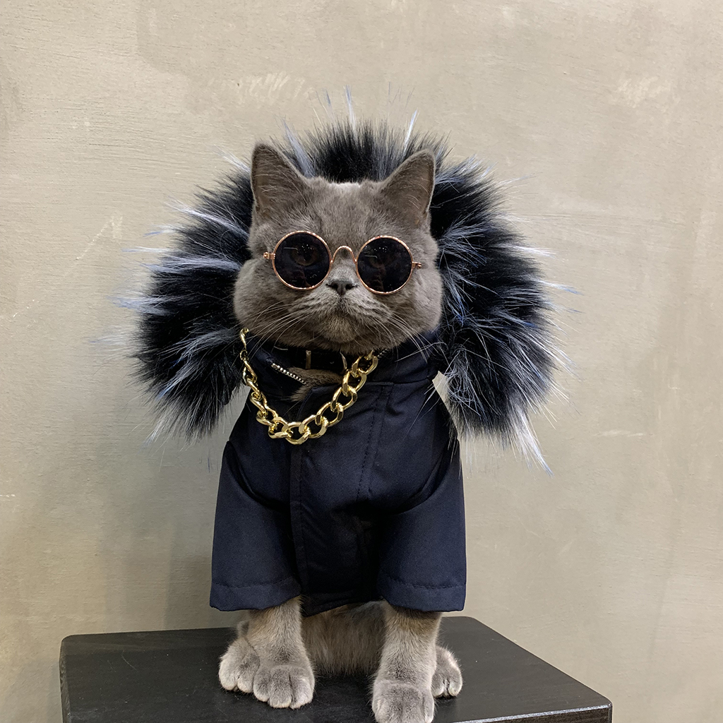 红猫咪衣服小奶猫狗狗衣服宠物泰迪秋冬天英短加厚保暖羽绒服装优惠券