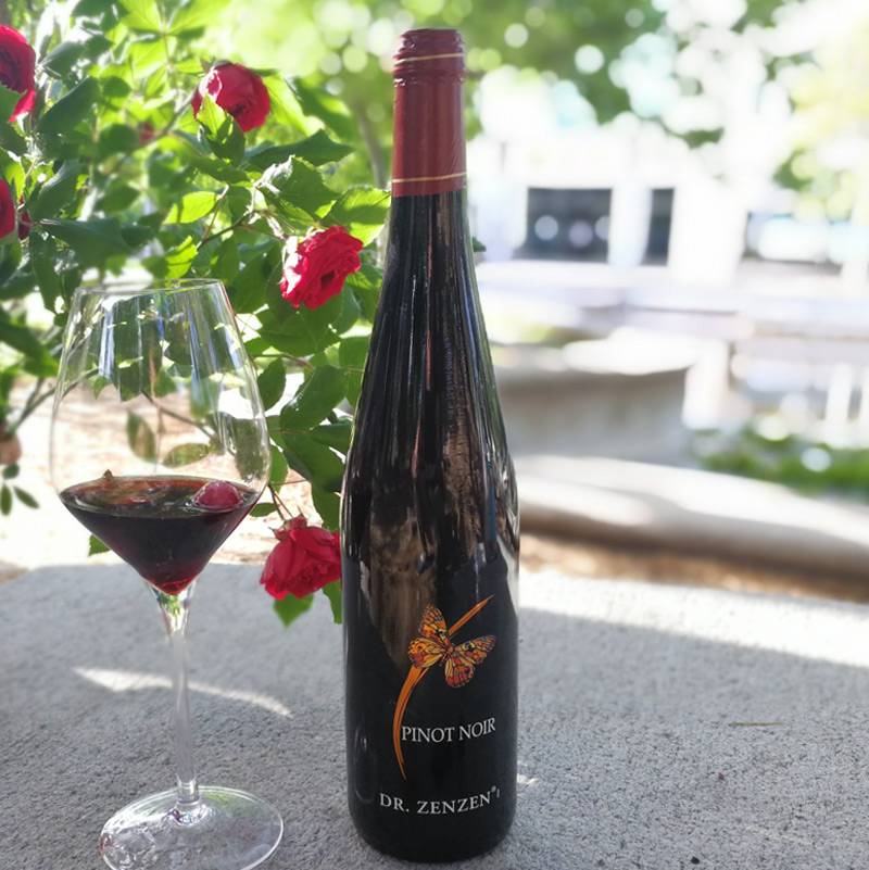 德国原瓶进口黑皮诺