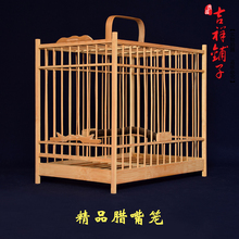 【麻料鸟】_麻料鸟图片