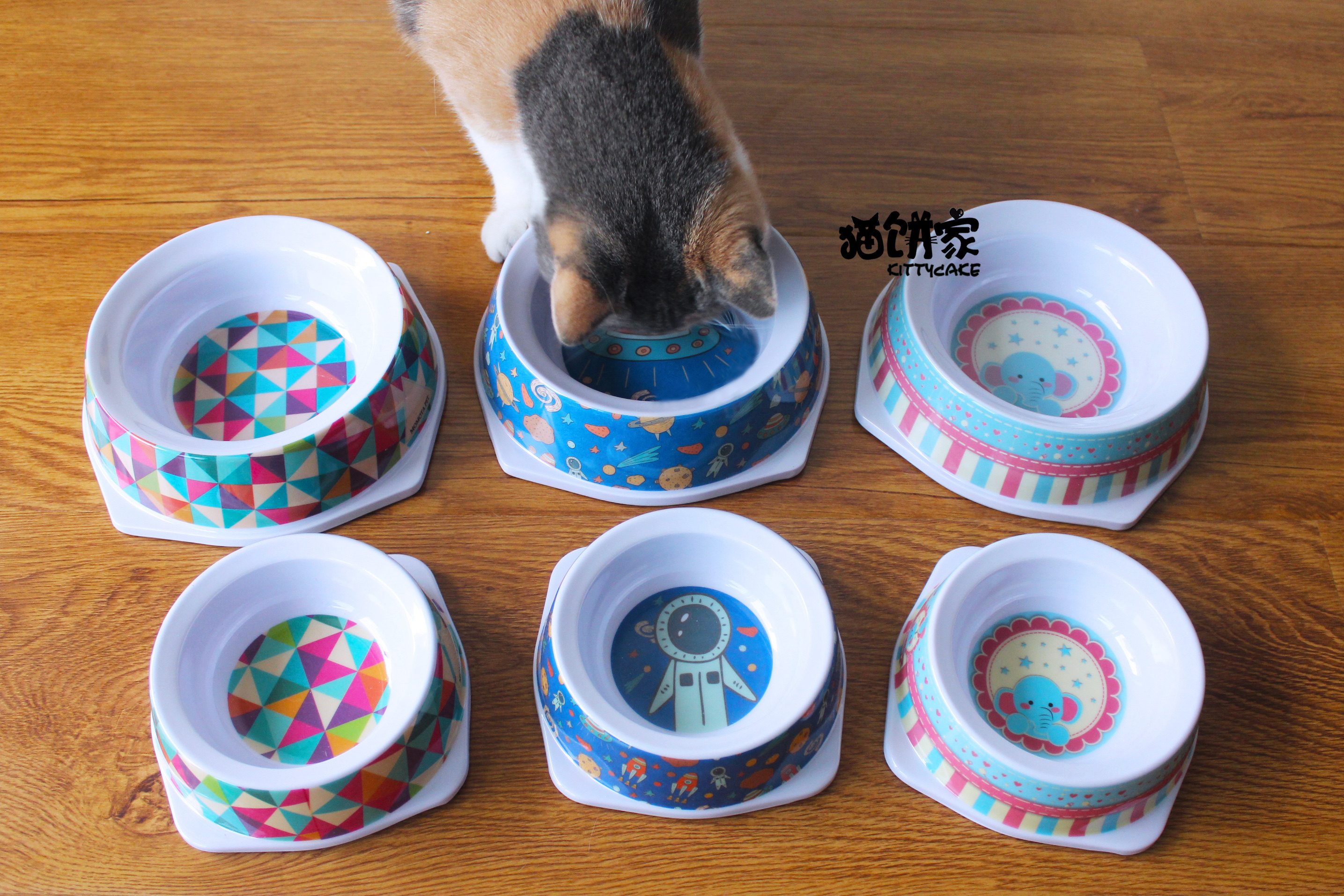 狗碗可爱大额优惠券