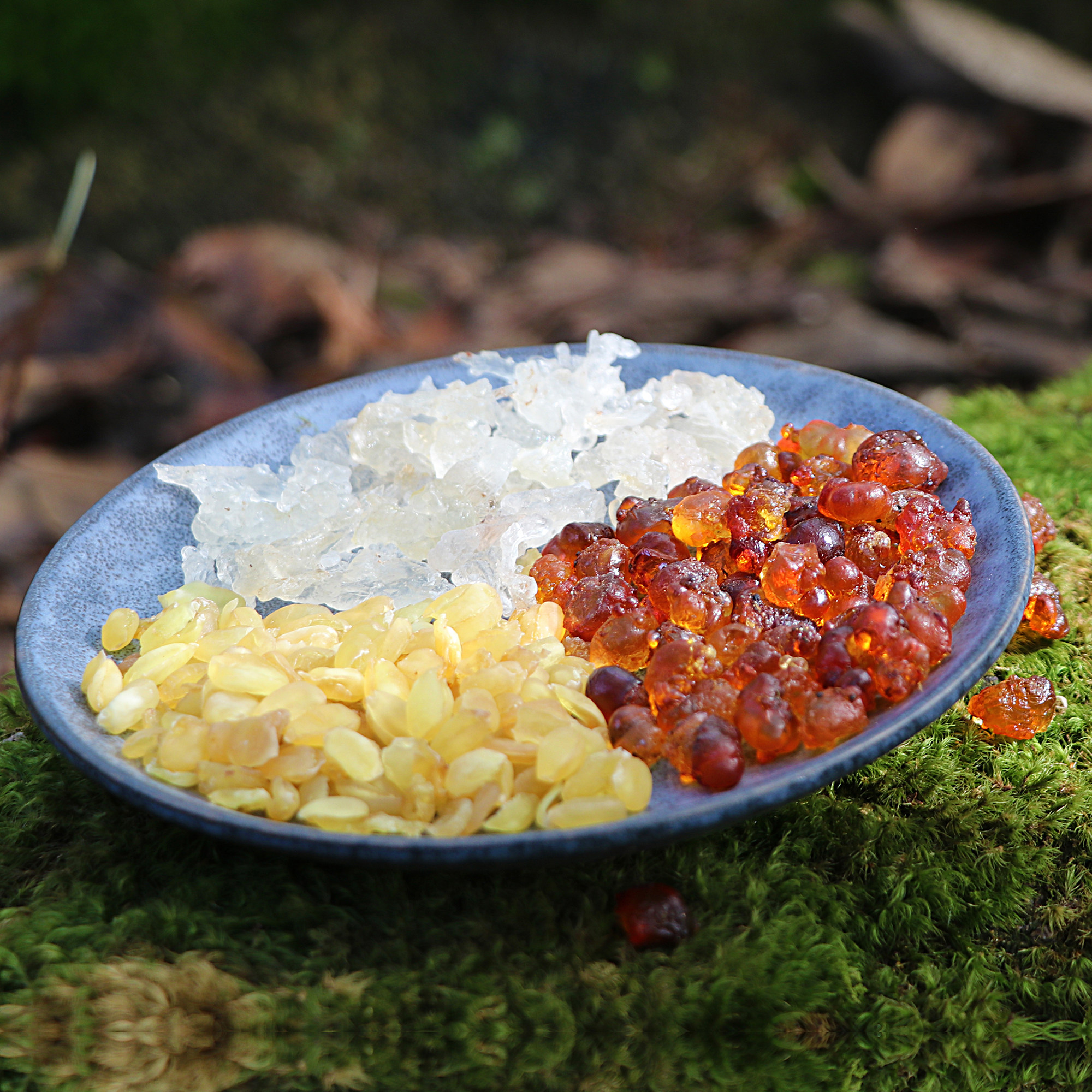 热销桃胶皂角米银耳组合