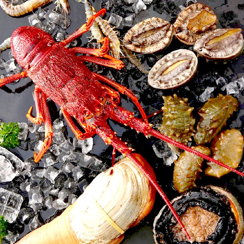 澳洲大龙虾海鲜礼盒鲜活冷冻水产超大特大野生澳龙3.8斤包邮武汉
