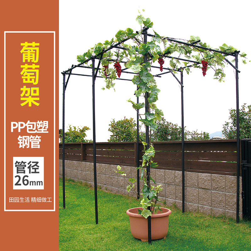 葡萄架 百香果爬藤架 园艺支架 花园家庭园艺植物爬藤架 包塑管