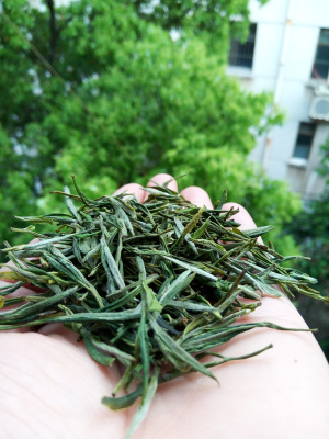 溪口高山茶兰香茶特级品2017年清明前春茶新绿茶叶宣城特产100克