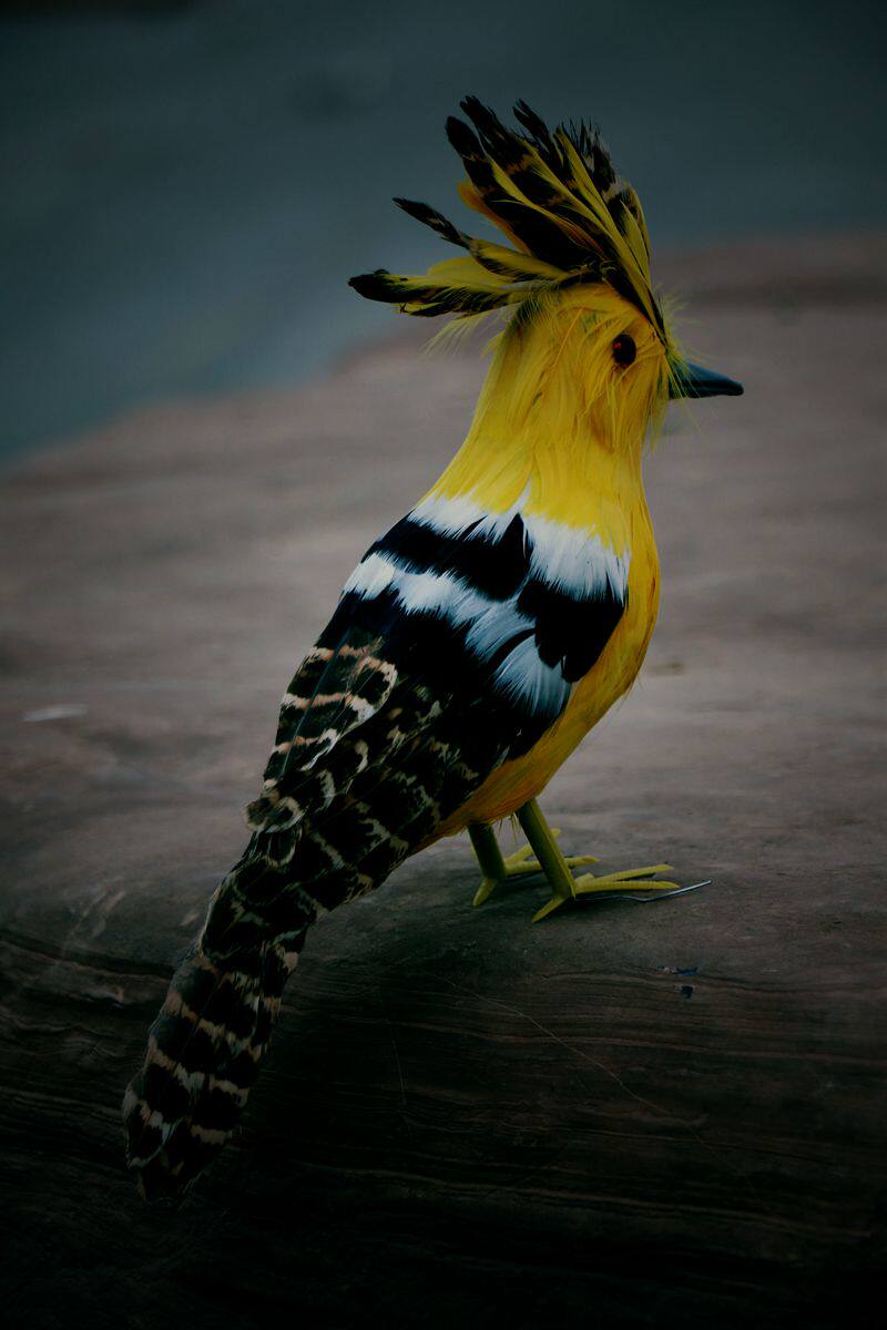 热卖仿真戴胜 羽毛类家居工艺品 园林装饰 博物展览仿真假鸟