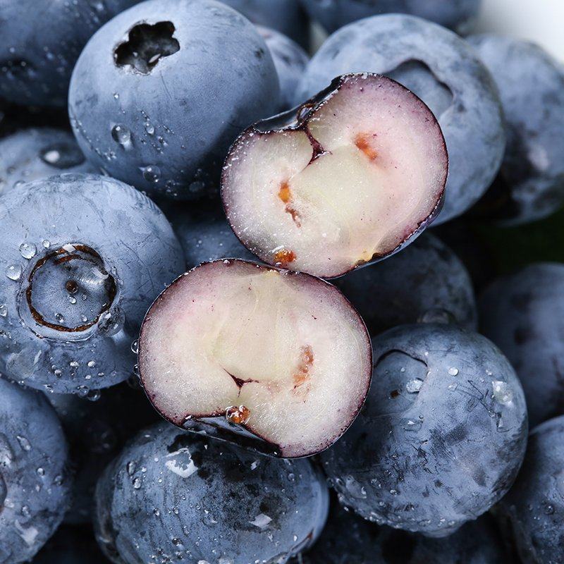 新鲜蓝莓鲜果500g宝宝辅食天然沃田蓝莓孕妇水果现摘现发顺丰空运