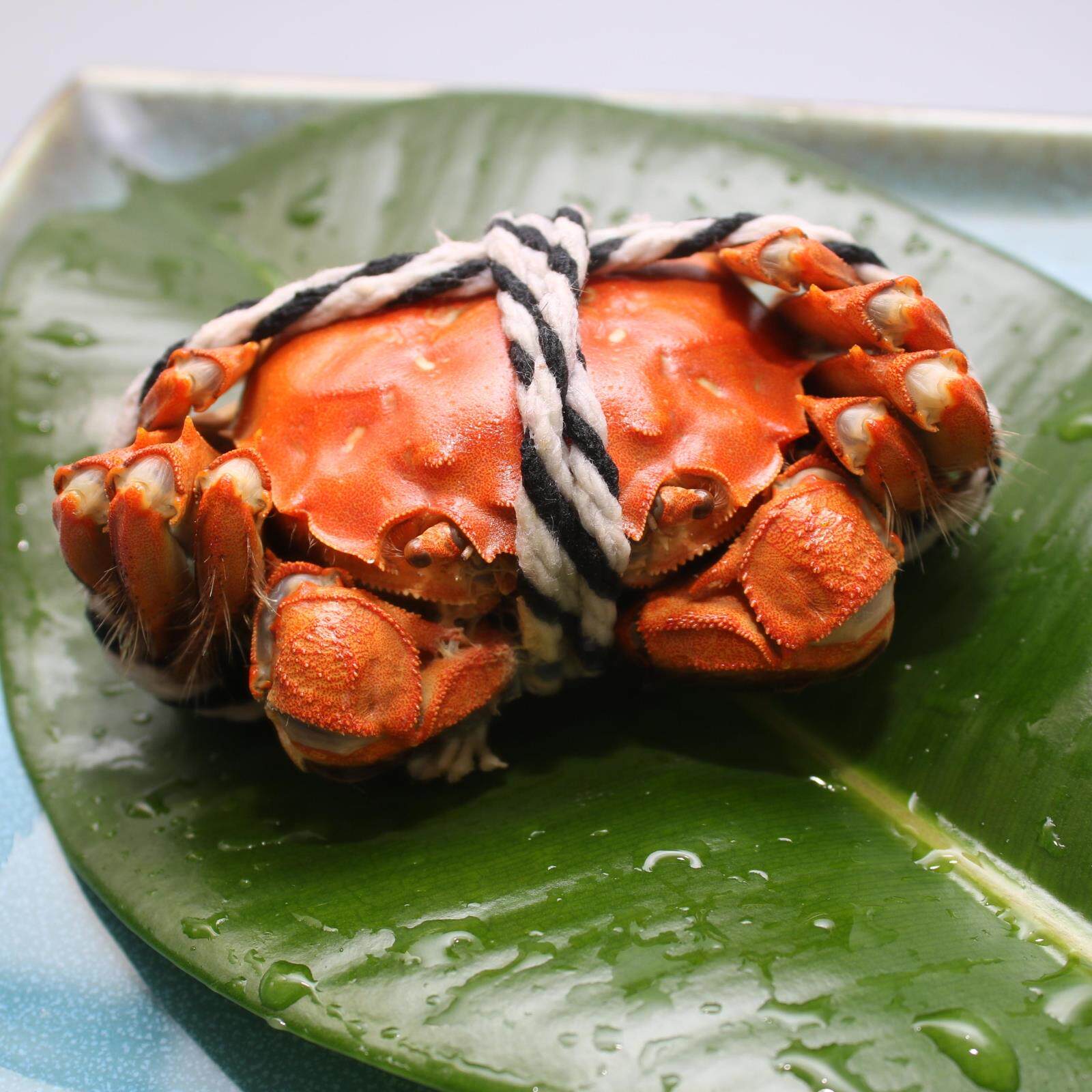 大闸蟹阳澄湖_阳澄湖 大闸蟹礼券