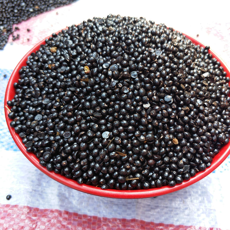 大红_包邮18年山西农家新鲜花椒籽黑籽大红袍花椒籽育苗饲料泡脚5斤