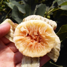 【广东特产水果】最新最全广东特产水果搭配优