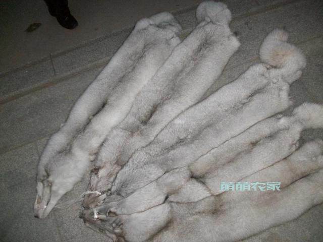 兔皮整张獭兔皮diy皮草护膝内胆服装原料围巾手包坐垫獭懒濑兔毛