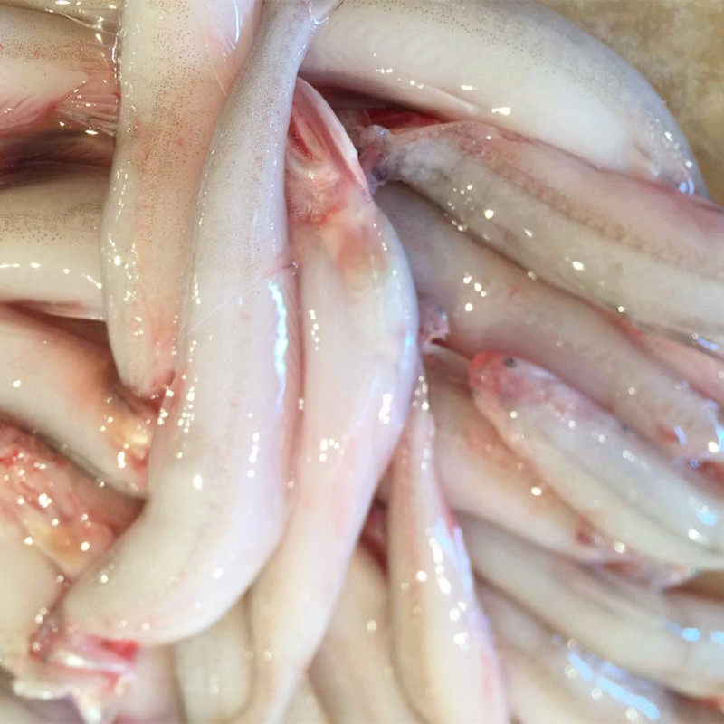 豆腐鱼海鲜大额优惠券