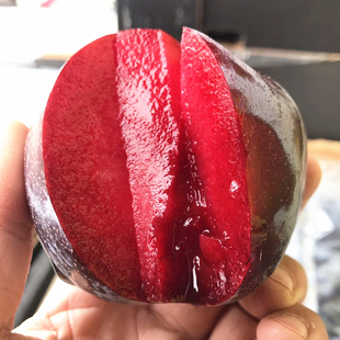 红心黑布林李子5个装 美国进口红肉恐龙蛋新鲜水果红心血丝李朗