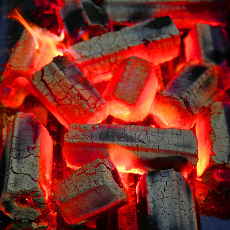 烧烤木炭 10斤装_无烟烧烤炭取暖碳室内户外家用商用木炭火锅炭烤鱼炭