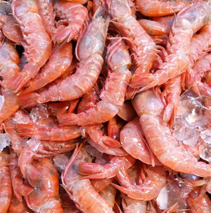 石浦海鲜 东海野生海捕新鲜大头红虾红头虾 肉嫩鲜美