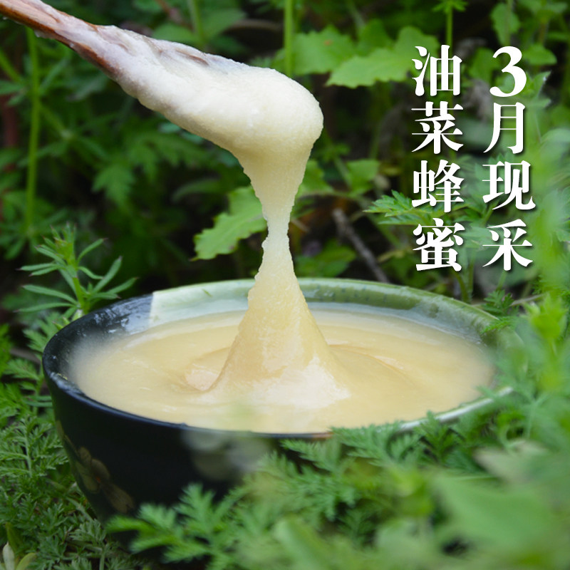 3月现采 油菜花蜂蜜 野蕊蜂蜜纯天然农家自产