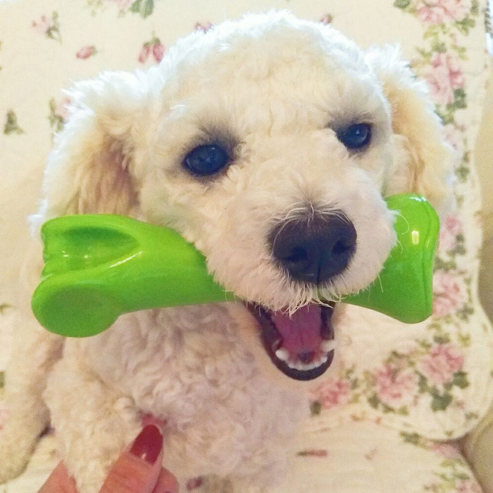 狗狗玩具耐咬骨头幼犬金毛萨摩耶柯基哈士奇大型犬拉布拉多磨牙棒