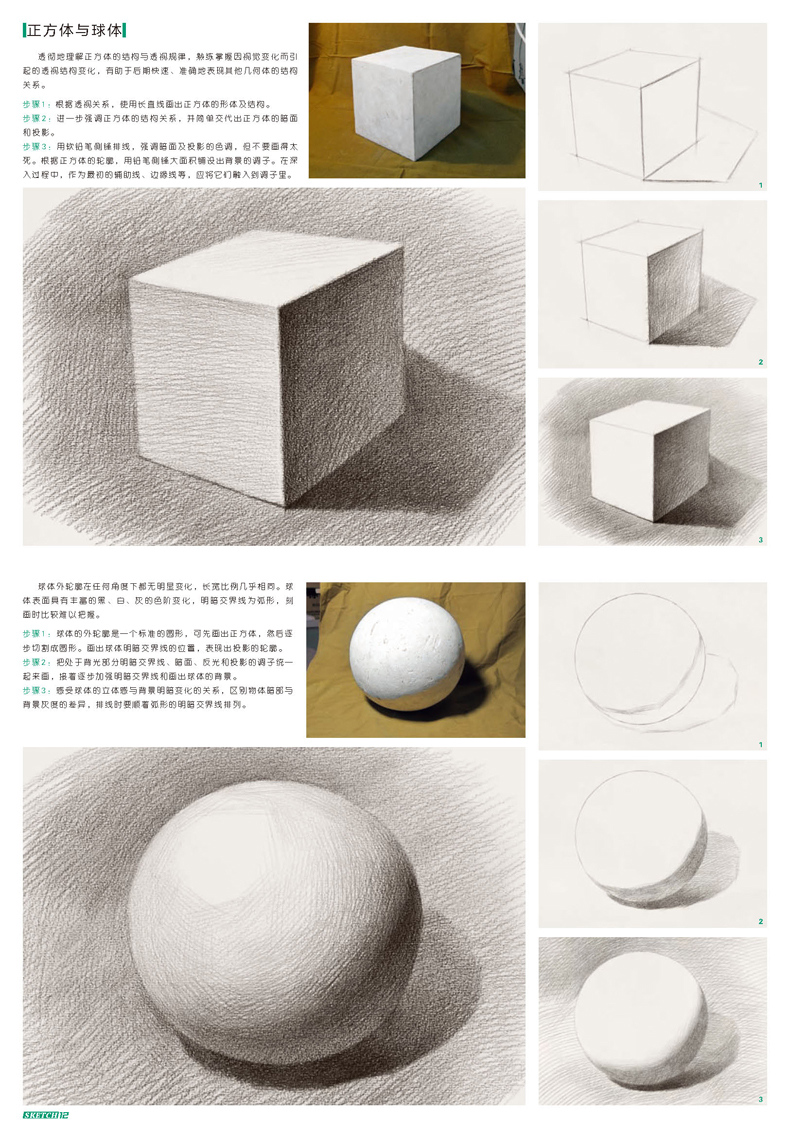 敲门砖 素描基础石膏体临摹范画 素描画画入门自学美术辅导书组合静物