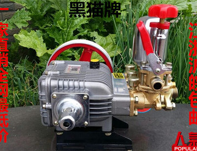 黑猫hm-22/26型三缸柱塞泵 园林农用打药机喷雾器高压清洗/洗车泵