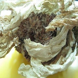 中草药 新疆野生 天山雪莲花 35元/支 带根 中药材_7折现价35元