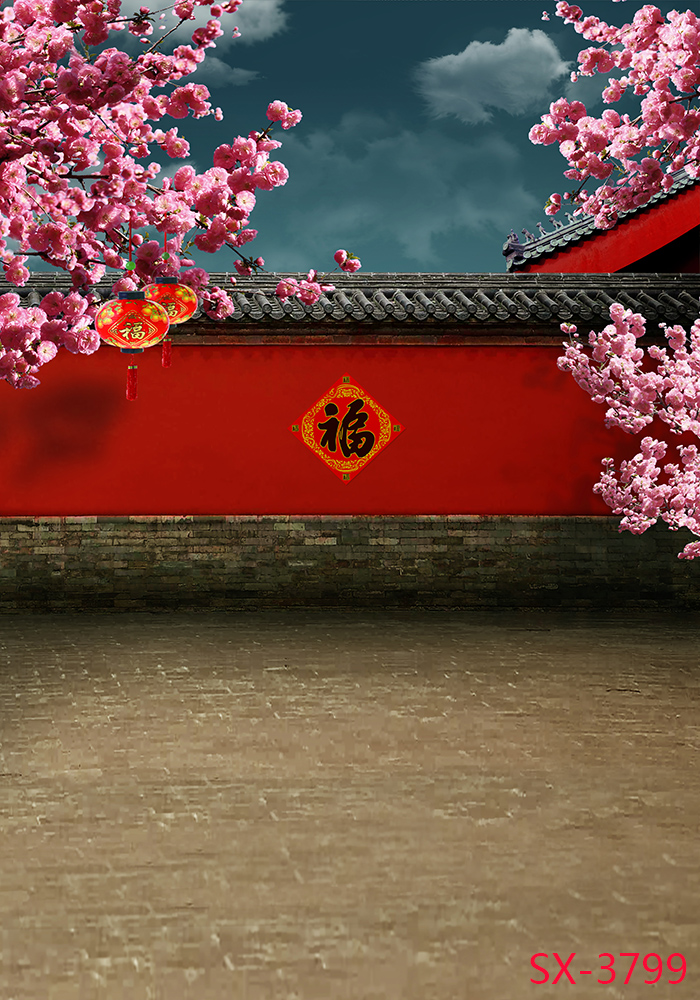 直播墙_bjd娃娃宠物摄影楼工艺品直播全家福古装福字梅花园林墙壁背景